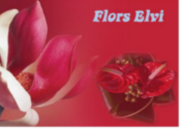 floristeria elvi